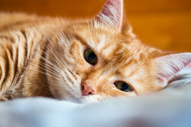 Similar image 21891205