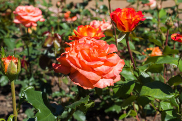 Similar image 21891209