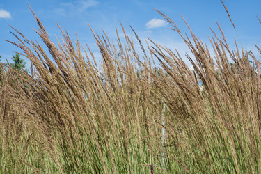 Similar image 21891210