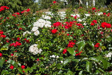 Similar image 21891211