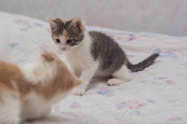 Similar image 21892713