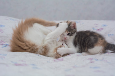 Similar image 21892715