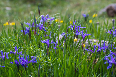 Similar image 21892716