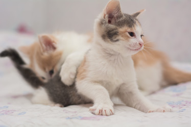 Similar image 21892717