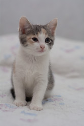 Similar image 21892718