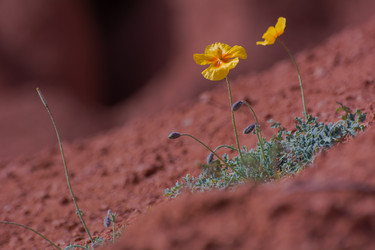 Similar image 21892726