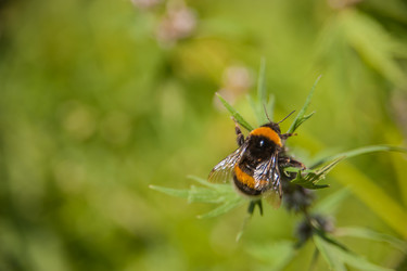 Similar image 21892735