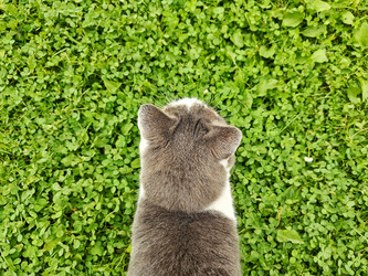 Similar image 21891989