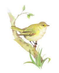 Similar image 21890406