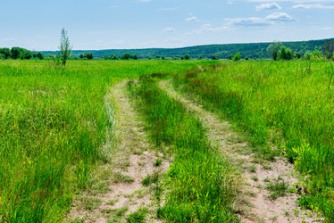 Similar image 21894042