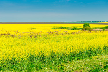 Similar image 21894050