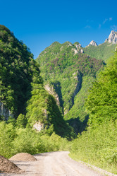 Similar image 21894064