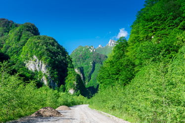 Similar image 21894076