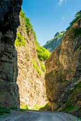 Similar image 21894696