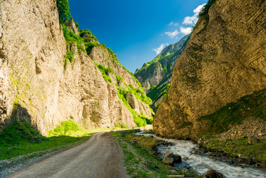 Similar image 21894698