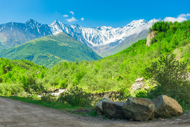 Similar image 21894702