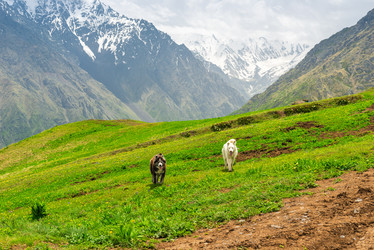 Similar image 21891995