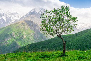 Similar image 21894089