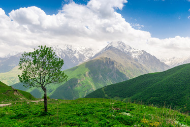 Similar image 21894096