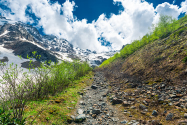 Similar image 21894119