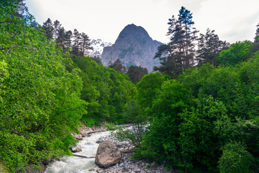 Similar image 21894724