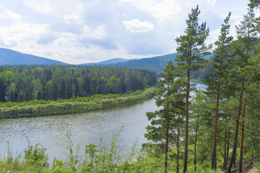 Similar image 21891501