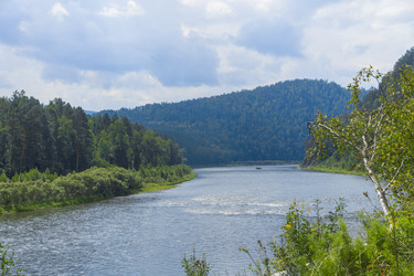 Similar image 21891502