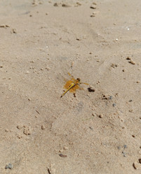 Similar image 21890412