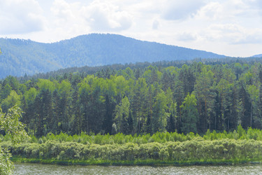 Similar image 21891512