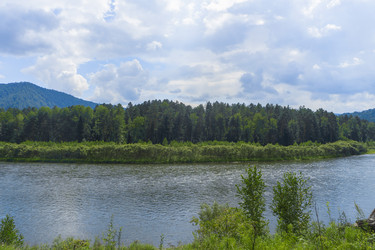 Similar image 21891551