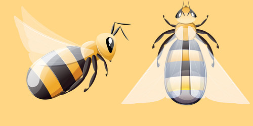 Similar image 21890413