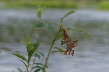 Similar image 21891683