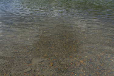 Similar image 21891684