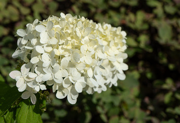 Similar image 21890416