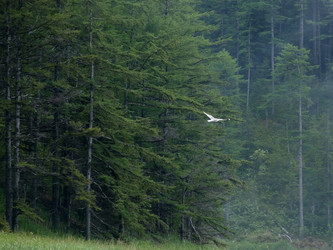 Similar image 21892061