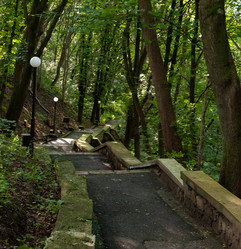 Similar image 21890964