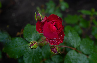 Similar image 21890969