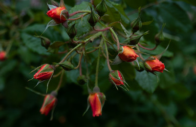 Similar image 21890972