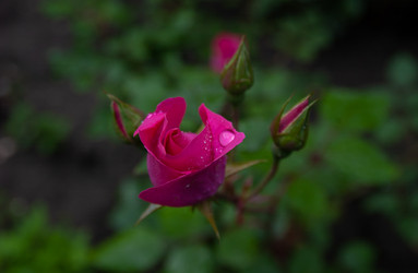 Similar image 21890973