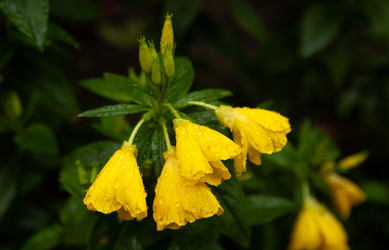 Similar image 21890974