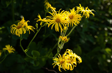 Similar image 21890976