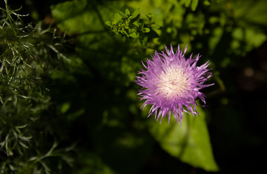 Similar image 21890977