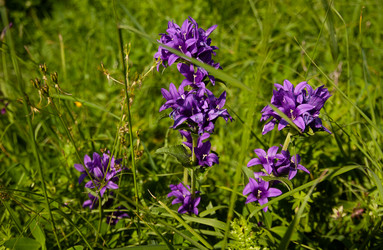 Similar image 21890978