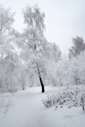 Similar image 21890990