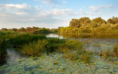 Similar image 21890994