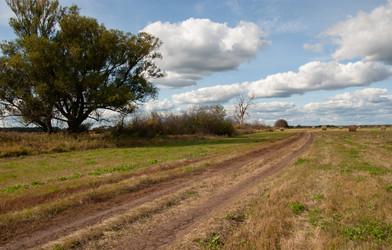 Similar image 21891005