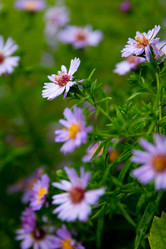 Similar image 21890421