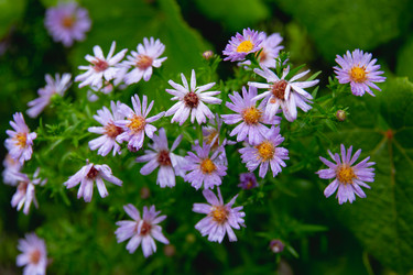 Similar image 21890422