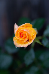 Similar image 21890423