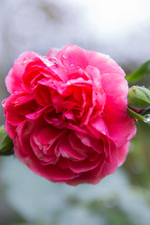 Similar image 21890424